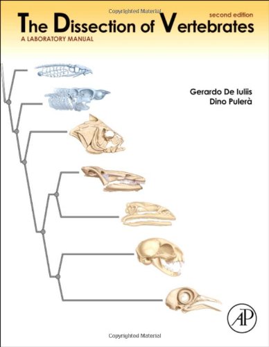 Dissection of Vertebrates  2nd 2011 9780123750600 Front Cover