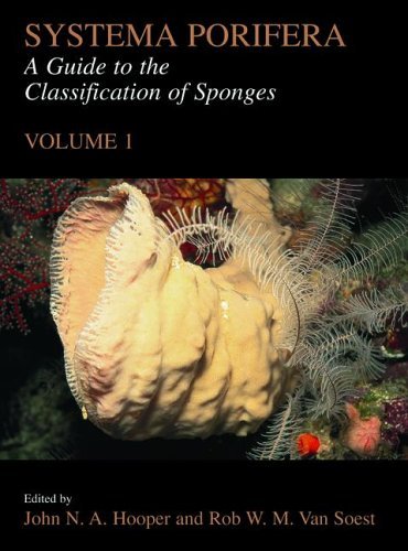 Systema Porifera A Guide to the Classification of Sponges  2002 9780306472602 Front Cover
