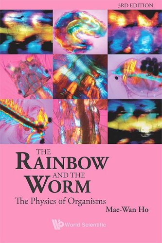 Rainbow and the Worm The Physics of Organisms 3rd 2008 9789812832603 Front Cover