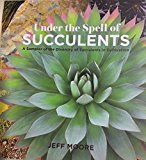 Under the Spell of Succulents A Sampler of the Seductively Staggering Diversity of Succulents in Cultivation N/A 9780991584604 Front Cover
