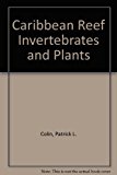 Caribbean Reef Invertebrates and Plants  1978 9780876664605 Front Cover