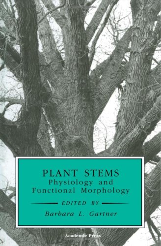 Plant Stems Physiology and Functional Morphology  1995 9780122764608 Front Cover