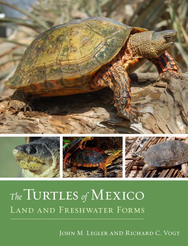 Turtles of Mexico Land and Freshwater Forms  2013 9780520268609 Front Cover