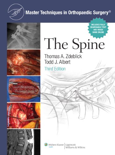 Master Techniques in Orthopaedic Surgery: the Spine  3rd 2014 (Revised) 9781451173611 Front Cover
