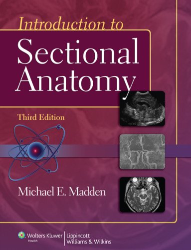 Introduction to Sectional Anatomy  3rd 2013 (Revised) 9781609139612 Front Cover