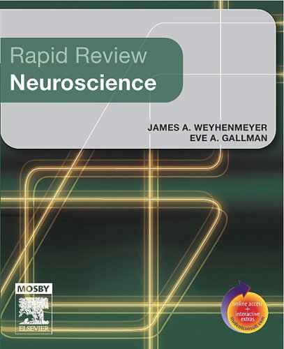 Rapid Review Neuroscience   2007 9780323022613 Front Cover