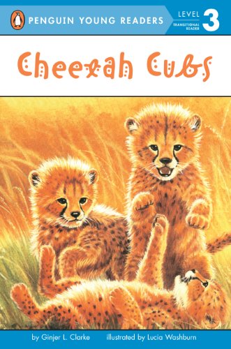 Cheetah Cubs   2007 9780448443614 Front Cover