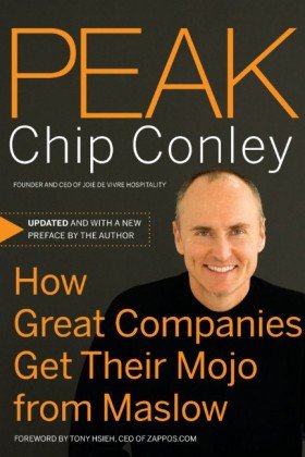 Peak How Great Companies Get Their Mojo from Maslow  2007 9780787988616 Front Cover