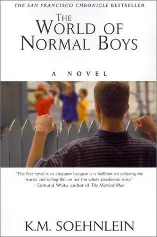 World of Normal Boys   2000 9781575666617 Front Cover