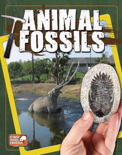 Animal Fossils:   2013 9780778712619 Front Cover
