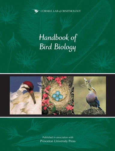 Cornell Lab of Ornithology Handbook of Bird Biology  2nd 2005 9780938027621 Front Cover