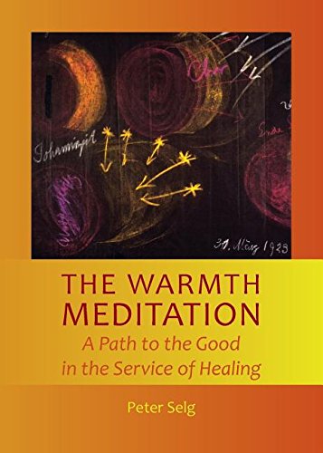 The Warmth Meditation: A Path to the Good in the Service of Healing  2016 9781621481621 Front Cover
