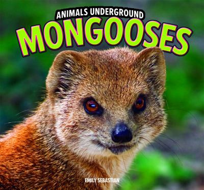 Mongooses   2012 9781448850624 Front Cover