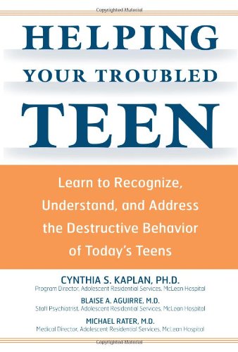 Helping Your Troubled Teen Learn to Recognize, Understand, and Address the Destructive Behavior of Today's Teens  2007 9781592332625 Front Cover