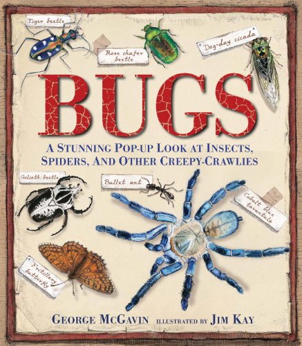 Bugs A Stunning Pop-Up Look at Insects, Spiders, and Other Creepy-Crawlies  2013 9780763667627 Front Cover