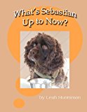 What's Sebastian up to Now?  N/A 9781478108627 Front Cover