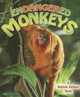 Endangered Monkeys   2007 9780778718628 Front Cover