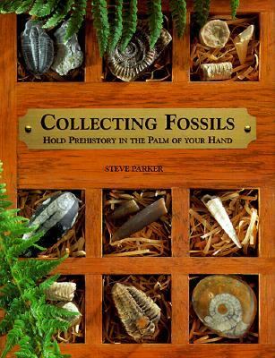 Collecting Fossils Hold Prehistory in the Palm of Your Hand N/A 9780806997629 Front Cover