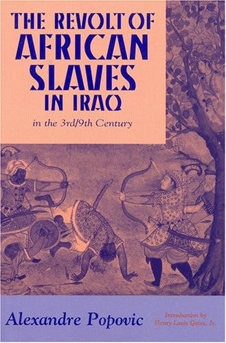 Revolt du Esclaves en Iraq au III/IX Eme Siecle   1998 9781558761629 Front Cover