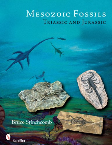 Mesozoic Fossils Triassic and Jurassic  2008 9780764331633 Front Cover