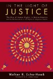 In the Light of Justice The Rise of Human Rights in Native America and the un Declaration on the Rights of Indigenous Peoples  2013 9781555916633 Front Cover