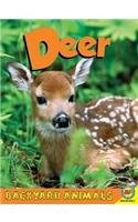 Deer   2013 9781619132634 Front Cover