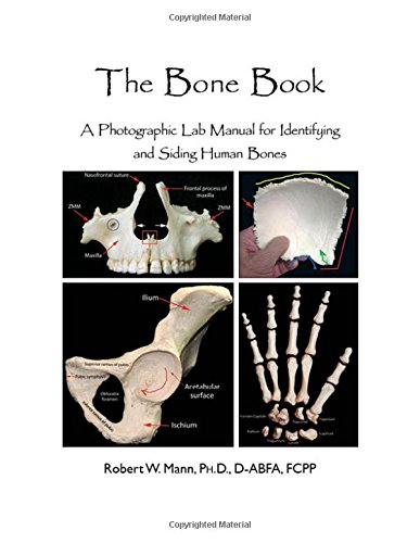 Bone Book A Photographic Lab Manual for Identifying and Siding Human Bones  2017 9780398091637 Front Cover