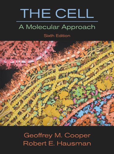 Cell A Molecular Approach 6th 2013 (Revised) 9780878939640 Front Cover