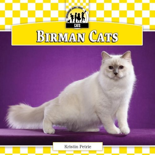 Birman Cats:   2013 9781617838644 Front Cover