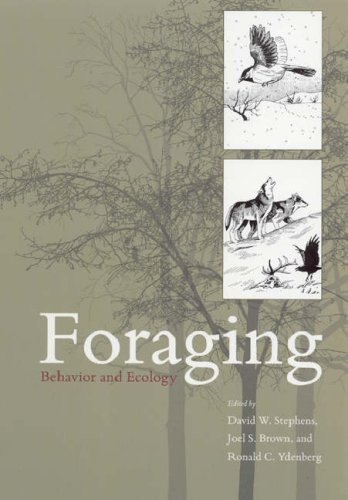 Foraging Behavior and Ecology  2007 9780226772646 Front Cover