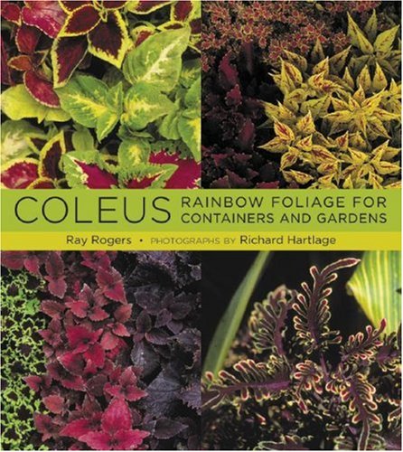 Coleus Rainbow Foliage for Containers and Gardens  2008 9780881928655 Front Cover