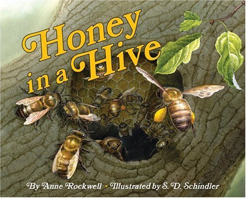 Honey in a Hive   2005 9780060285661 Front Cover
