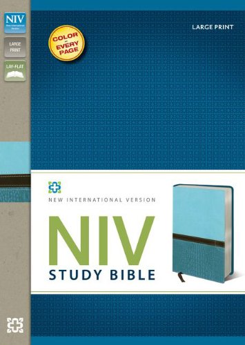 Study Bible   2011 (Large Type) 9780310438663 Front Cover