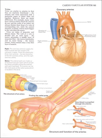 Know Your Body The Atlas of Anatomy 2nd 2004 9781569751664 Front Cover