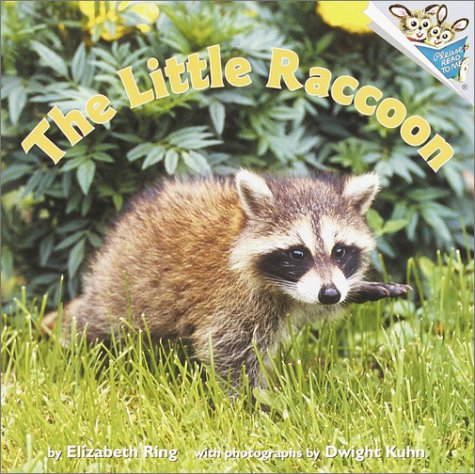 Little Raccoon   2001 9780375806667 Front Cover