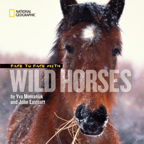 Face to Face with Wild Horses   2009 9781426304668 Front Cover
