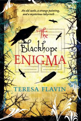 Blackhope Enigma  N/A 9780763660673 Front Cover