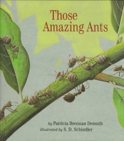 Those Amazing Ants N/A 9780027284676 Front Cover
