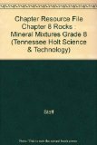 Holt Science and Technology Rocks and Minerals: Chapter Resources - Tennessee Edition 3rd 9780030691676 Front Cover