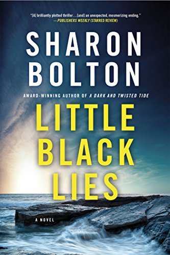 Little Black Lies A Novel N/A 9781250080677 Front Cover