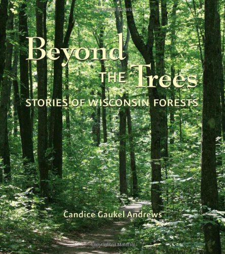 Beyond the Trees Stories of Wisconsin Forests  2011 9780870204678 Front Cover