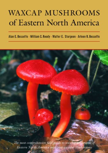 Waxcap Mushrooms of Eastern North America   2012 9780815632689 Front Cover