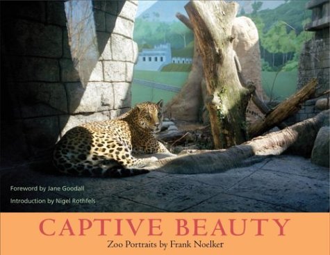 Captive Beauty   2004 9780252071690 Front Cover