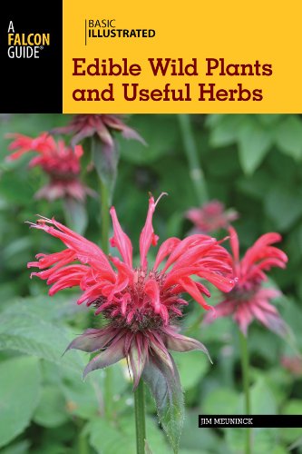 Basic Illustrated Edible Wild Plants and Useful Herbs  N/A 9780762784691 Front Cover