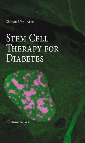 Stem Cell Therapy for Diabetes   2010 9781617796692 Front Cover