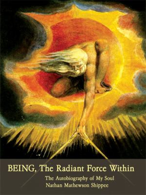 BEING the Radiant Force Within The Autobiography of My Soul N/A 9781434396693 Front Cover