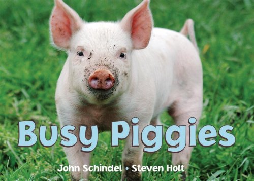 Busy Piggies   2005 9781582461694 Front Cover