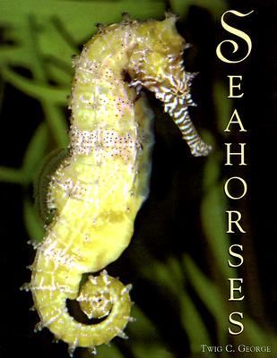 Seahorses   2003 9780761328698 Front Cover