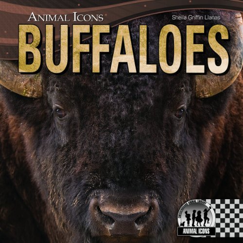 Buffaloes   2013 9781617835698 Front Cover