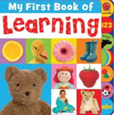My First Book of Learning   2010 9781848791701 Front Cover